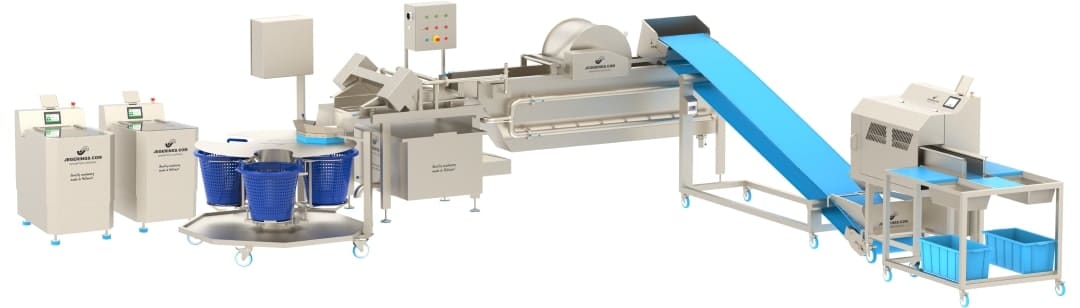 Leafy Vegetable Processing Line