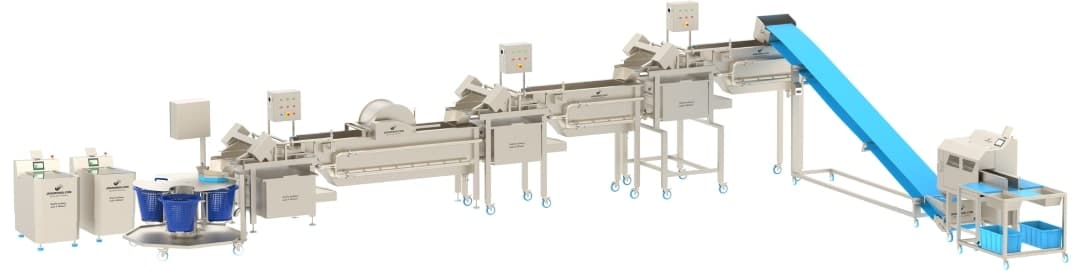 Salad Processing Line