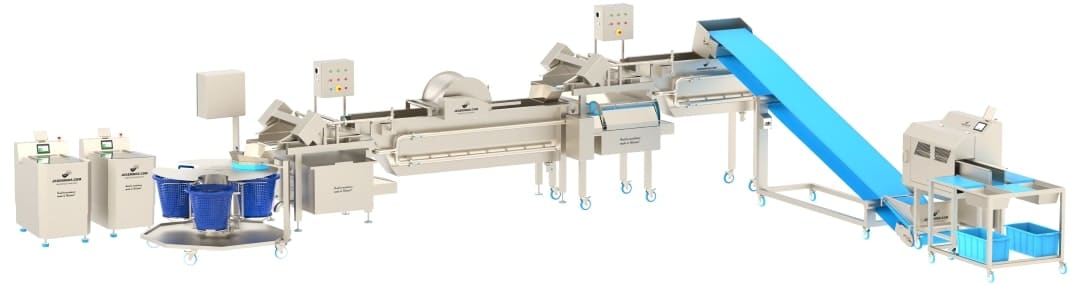 Salad Processing Line