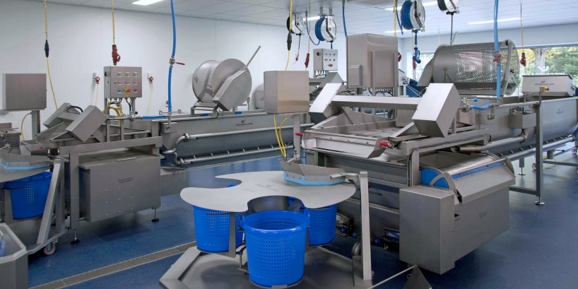 Salad Washing Machine
